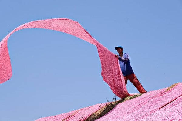 Tissu au mètre : comment choisir le meilleur pour vos projets